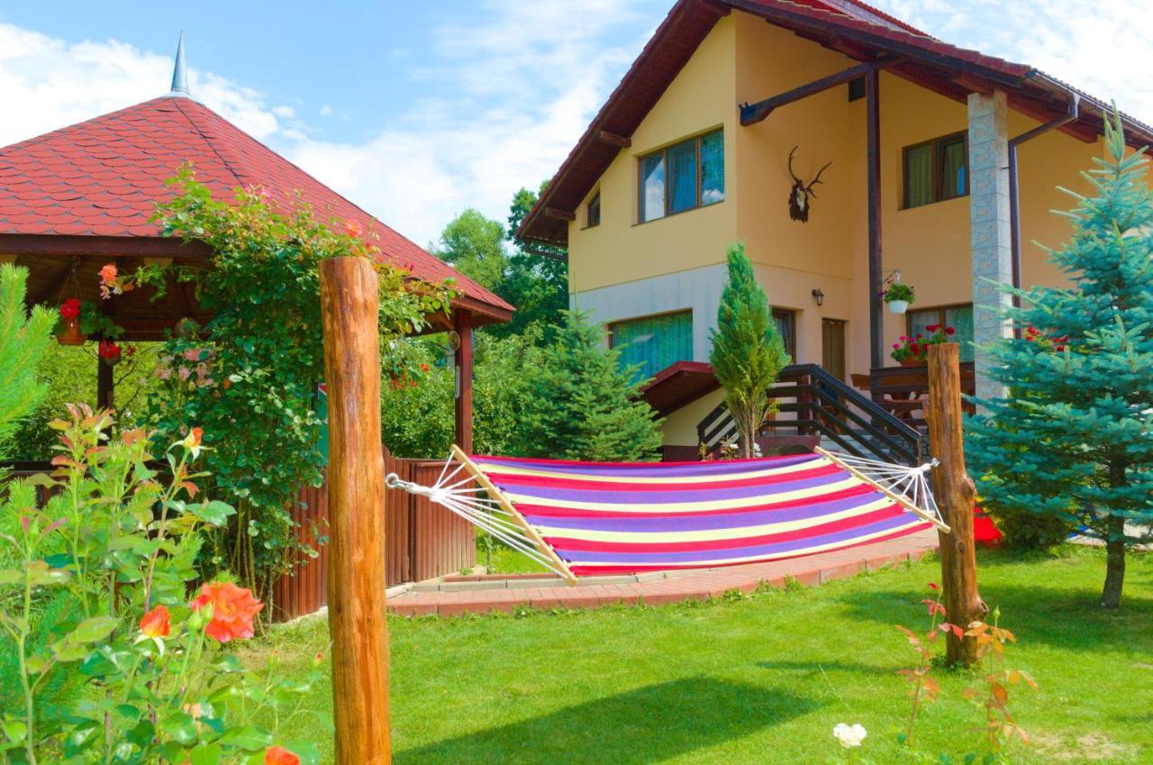 Arnota Villa Costesti  Exterior photo
