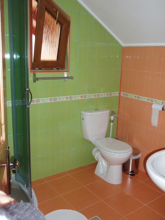 Arnota Villa Costesti  Room photo